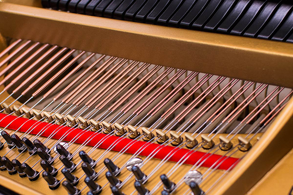 Close-up of piano strings and tuning pins
